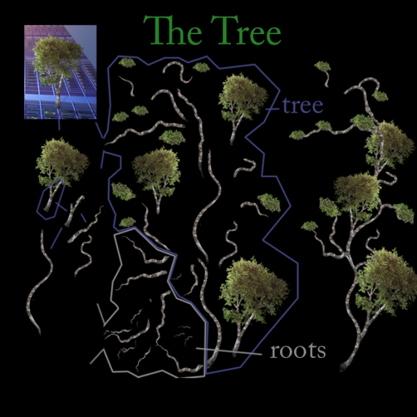 Creation of SymbiosA: Step 2
